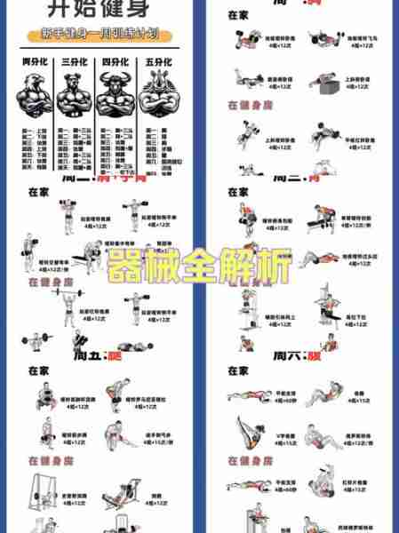 健身计划新手入门-最全健身计划表