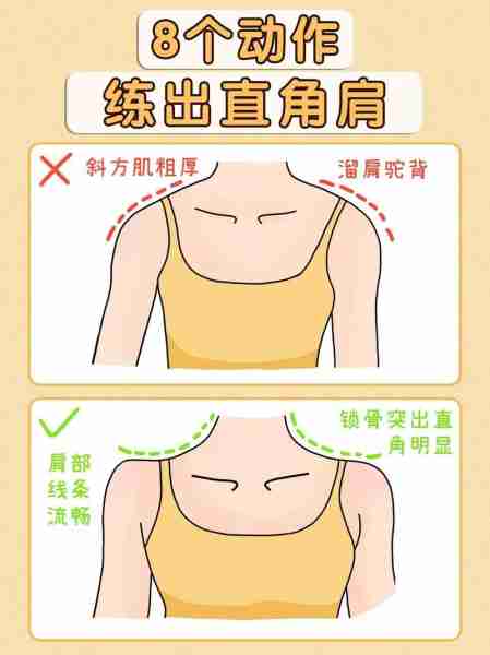 直角肩训练动作教程-直角肩训练法