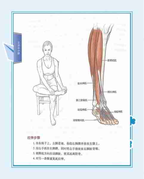 瘦小腿运动拉伸方法-瘦小腿的拉伸运动