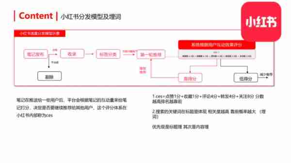 小红书运营涨粉技巧-小红书怎么运营吸引粉丝