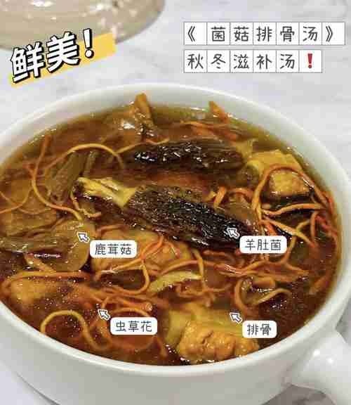 菌菇食谱鲜香营养-菌菇类的吃法