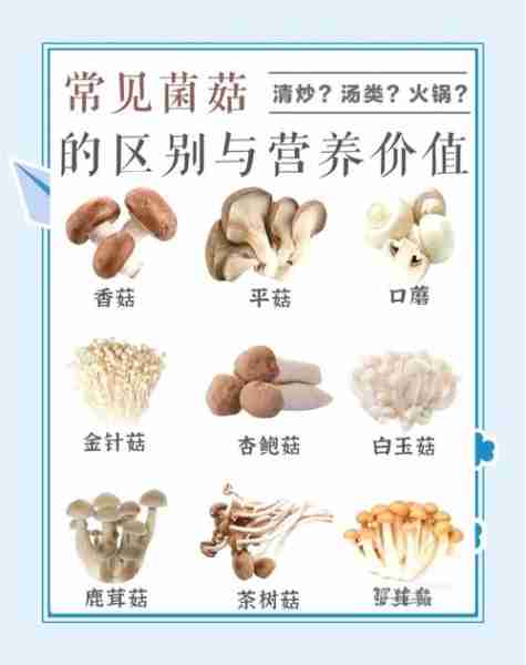 菌菇食谱鲜香营养-菌菇类的吃法