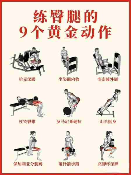 健身动力提升方法-健身 动力