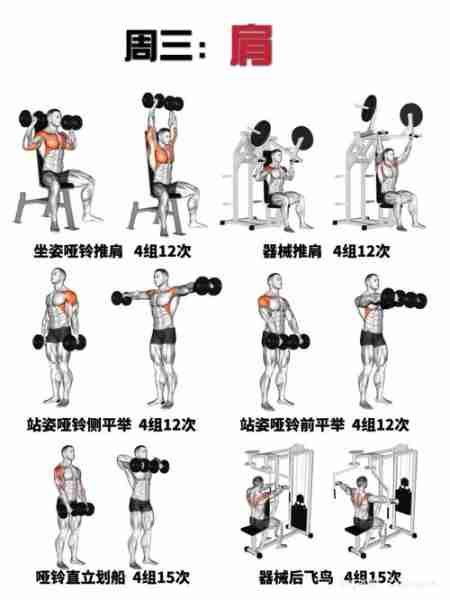 哑铃训练动作教程-哑铃训练动作教程图解
